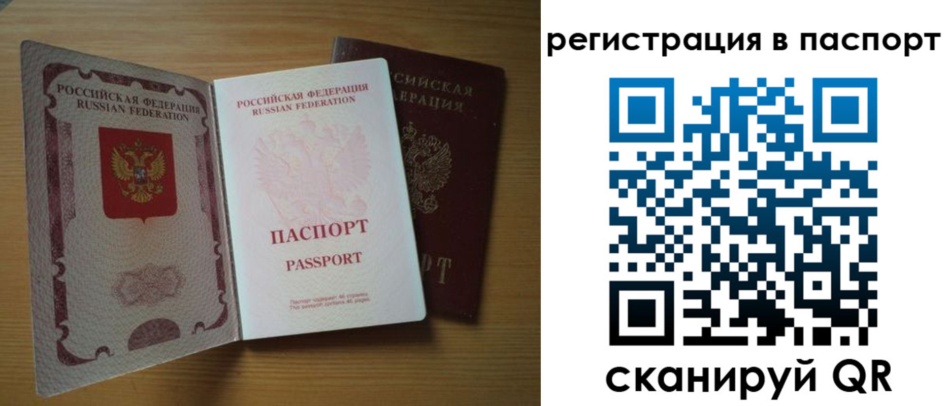 прописка 2025 в Коле